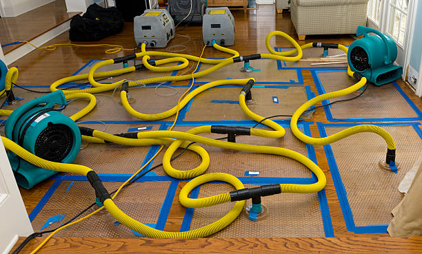 Professional Water Damage Restoration technician working in Christmas, FL
